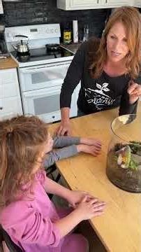 Sensitive Fern Plants in a Terrarium #gardening #terrarium