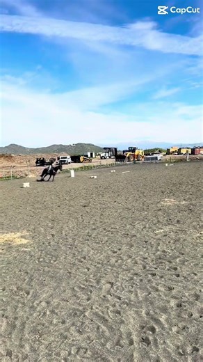 #horse #equestrianjourney #horsetrack #equestrian #barrelracing