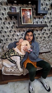 14K views · 909 reactions | Gapudi ke Saath Tipi Tipi Top Game Khela 藍 | #39 | SourShy | #sourshy #dog #reels #reelsinstagram #funny #cute #dogs #doggolove #dogphotography #dogsofinstagram #adorable #cutedogs #cuddle #dogstagram #puppy #doglover #instadog #dogoftheday #doglovers #doglife #puppies #dogsofinsta #puppiesofinstagram #petsofinstagram #doggo #ilovemydog #doglove | SourShy | Facebook