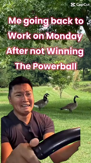 May the odds be in your favor. 😂🙈 #Powerball | Jennifer Evans