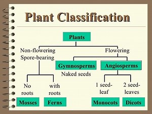 1.9K views · 27 reactions | Plant Classification Plants are...