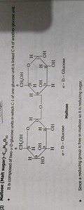 (2) Maltose (Malt sugar) −C12​H22​O11​It is composed of two α-... | Filo