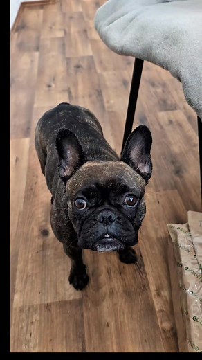 2.1K views | Tree Reality on Reels | Facebook