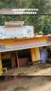 AGEN SUGENG RAHAYU BANYUPUTIH BATANG Customer Service :⁣⁣⁣ ☎(031) 8555 338/9⁣⁣⁣ 📞 CS 1 : 082233183350 📞 CS 2 : 082233183360 ⁣⁣⁣ 📞 CS 3 : 082233183370 ⁣⁣⁣ 📞 CS 4 : 082233183340 Pemesanan Tiket Online : - Aplikasi “Sugeng Rahayu” Tersedia di PlayStore, AppStore - Web www.sugengrahayubus.com - Easybook, Traveloka, Redbus - Pembelian Tiket di Agen Resmi Terdekat ⁣#sugengrahayupurwokerto #ptselamatsugengrahayu #sgloverz #penggemarsumbergroup #sumberselamat | PO. Sumber Group