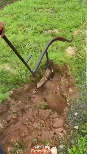 Process of Plowing with Motorcycle Pulling Plow