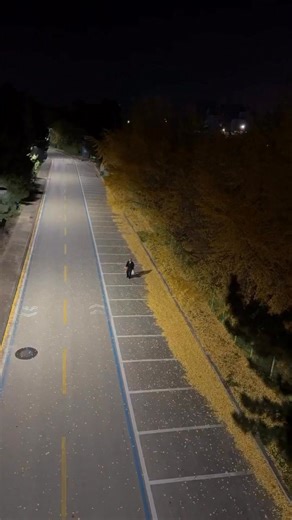 It's free to have fun, so make the most of your time.2001 | 2001