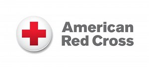 The American Red Cross and Disney team up to teach children disaster preparation | Chip and Company