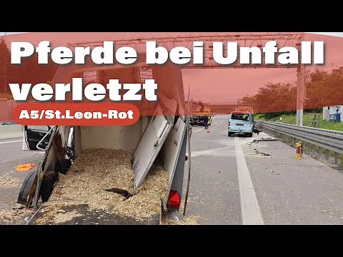 Schwerer Unfall auf der A5: Pferde verletzt, 150.000 Euro Schaden, 13 Kilometer Stau