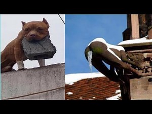 50 Funny but True Facts and Stories That Will Make You Laugh