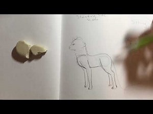 How to draw cat bodies: My Way!!!