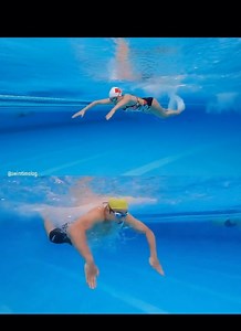 This is a fast swimming style, requiring more technique and physical strength than the stride, breaststroke or backstroke because it must combine rhythmically the movements of the legs, arms and whole body. The butterfly stroke is the newest swimming style to enter competition, it first appeared in 1933, having its roots in the breaststroke. In butterfly swimming, the movements of the hands are symmetrical, the legs are close, undulating, kicking the water like a dolphin’s tail, the whole body c