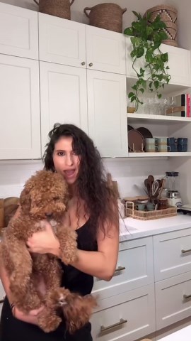 Alexandra Nikolidaki | Well that’s my baby dog, Cinnamon🤗!! I wanted to introduce her to you in the simplest way possible 😅☺️ #doglover #mydog #love... | Instagram