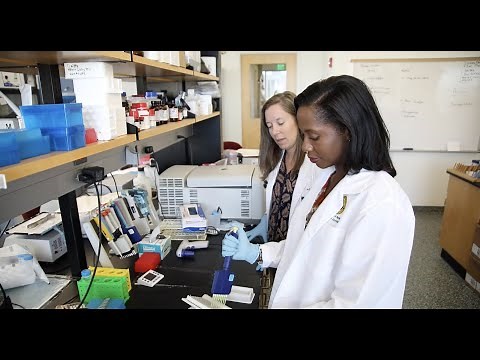 Become a Nurse Scientist at the USF College of Nursing