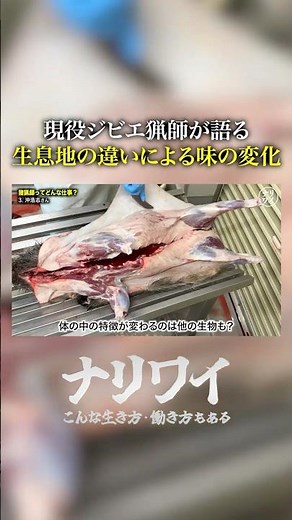 猪の味は生息地で決まる？猟師が語る真実