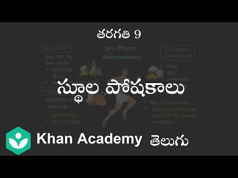 Macronutrients [Telugu] | Food Components | Class 7| Science | Khan Academy