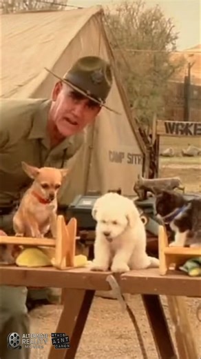 🐶 PET TRAINING with R.LEE ERMEY! 🐱 #comedy #commercial #movie #parody #nostalgia | Alternate Reality Movies