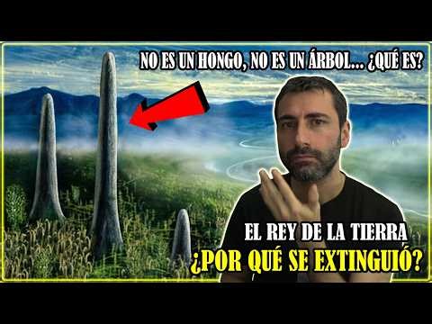 Unknown Life Discovered That Ruled Earth 400 Million Years Ago