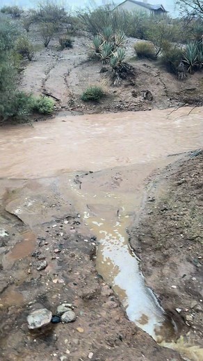 13K views · 113 reactions | This is where we practice white water rafting right?  | 6/S Horsemanship | Facebook