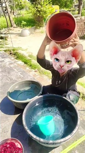 pani 🏊 lao 🏊 re 🏊🚣🏊🏊🤽🏄🚣🚣🏊🤽🏄🚣🏊🏊🏄🚣🚣🏊🤽🏄🚣🚣🏊🏊🏊🚣🚣🚣🚣🏊