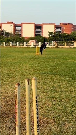I'll spin it anyways🔥#cricket #legspin #bowling