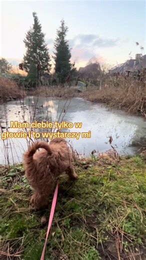 #bunia #mam #ciebie #wgłowie #topki @ᴍᴀʀʟᴇʏ!🤎 @ᴍᴀᴛᴄʜᴀ🦄 @cassɪe🦦 @💥⚡️~Docent~⚡️💥 @💥⚡️~bueno~⚡️💥 @🐑😈𝓐𝓻𝓰𝓸😈🐑 @𝐃 𝐄 𝐋 𝐓 𝐀 @ɢʀᴇᴛᴀ🤎 @🐶🪷𝓢𝔃𝔂𝓼𝔃𝓴𝓪🪷🐶 @🐾𝘼𝙜𝙚𝙣𝙩𝙭𝙒𝙖𝙡𝙩𝙚𝙧🐾 @𝐃𝐄𝐗𝐓𝐄𝐑