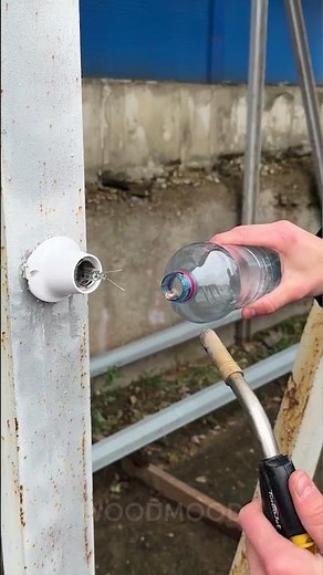 No Tools Needed! Safe Broken Bulb Removal with This Simple Method 🔥🔧