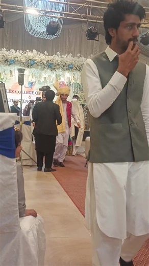 Understanding Mixed Cultures and Their Impact