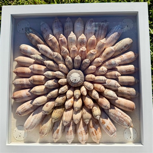 Handmade Coastal Seashell Shadow Box Art: Beach House Decor - Etsy
