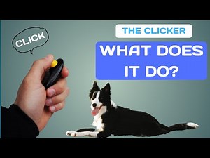 The CLICKER in DOG TRAINING - What does it do?