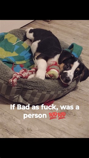 Shelia Williams on Reels