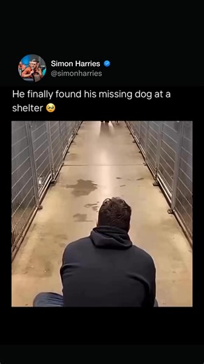 Simon Harries on Instagram: "Save this as a reminder of what actual loyalty looks like. In business, everyone is obsessed with acquiring new customers, new partners, and new attention. But the real power lies in the people who have been with you from the start. This dog did not care about the man’s status or net worth; it recognized the person who showed up for it. That kind of bond is not transaction. It is foundational. Most entrepreneurs burn bridges trying to chase the next big thing, forget