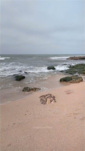 Relaxing ocean waves 🌊 💙 🏖️ #oceanwaves #beach #waves