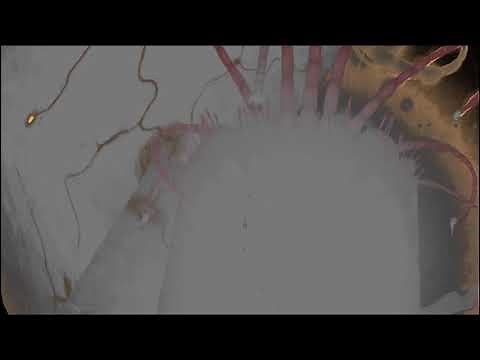 Rain World - How 2 🅱reak the void worm