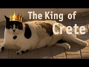 Chonkus Maximus: The Feline Legend of Crete That Took the Internet by Storm