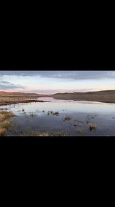 1.9K views · 73 reactions | It’s hard to describe the sounds of spring in the Sandhills. Birds singing, calves bawling, crickets chirping. These are the sounds that put me to sleep for many years as I listened out my bedroom window. I hope you enjoy the sweet sounds of Spring as I captured them on my camera.  #soundsofthesandhills #Springtime #goodforthesoul #bestplaceonearth | Carolee Brown | Facebook