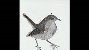 GREEN GRASS Lyrics - COSMO SHELDRAKE | eLyrics.net