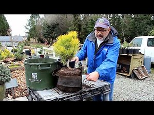 Advantages of Root Control Grow Bags