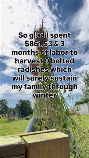 What has your garden provided you so far for hiber