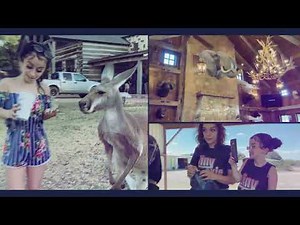 Tiny Texie Taking a Tour at OX SAFARI