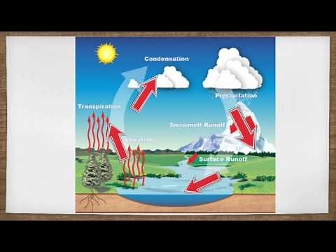 Desalination: A Solution for Our Water Needs