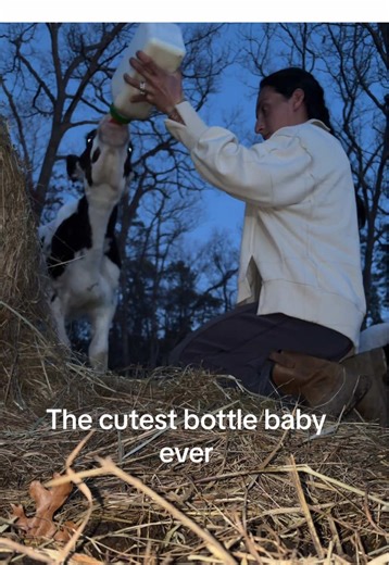 Plot twist I actually love a bottle baby #holstein #fy #farm #southjersey #bottlecalf