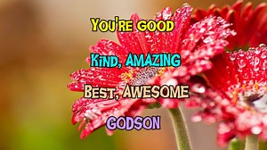 Birthday Wishes for My Godson #HappyBirthdayGodson. For more wishes visit https://2happybirthday.com/happy-birthday-godson-wishes/ | Happy Birthday Wishes