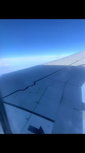 Tanya (@tanyafairen)’s videos with This is your sign to fly - Michael Buckley