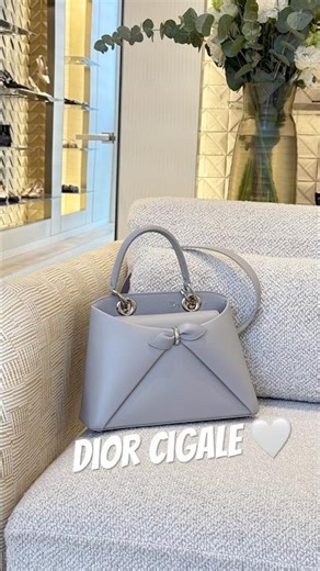 Dior Cigale & Moynat Gabrielle🩶🩵 #diorcigale #dior #moynat #handbaglover #jonathananderson