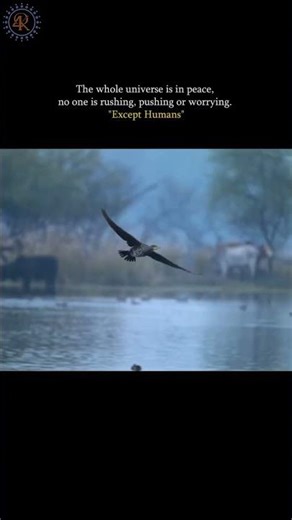 The Whole Universe Is in Peace, Except Humans | Deep Nature Quote #wildlife #nature