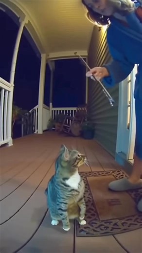 474K views · 12K reactions | Midnight Final Boss  | Bigfoot Adventures | Facebook