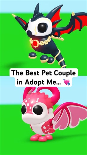 The Best Pet Couple in Adopt Me… 💘 #roblox #adoptme