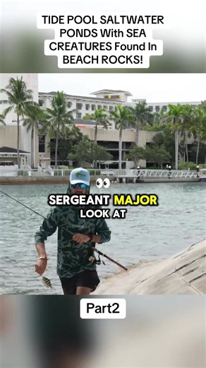 Exploring Tide Pool Saltwater Ponds with Sea Creatures