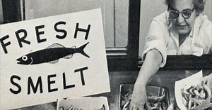 Northern Michigan in Focus: Cold Creek Smelt Dip