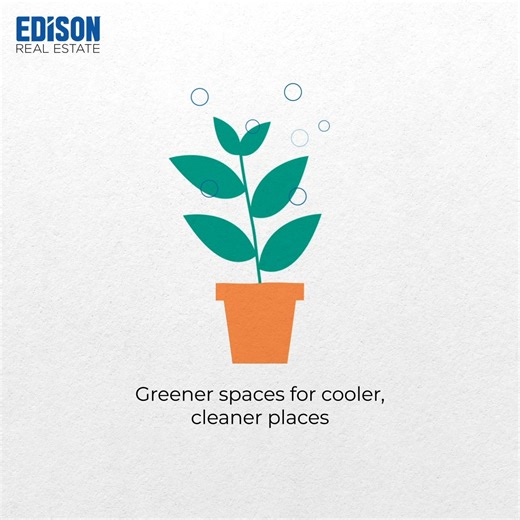 Each drop of water and a little more daylight can help make our spaces cleaner and cooler. This Earth Day, let’s build with purpose. Together, we can care for tomorrow. #EarthDay2025 #EdisonRealEstate | Edison Real Estate